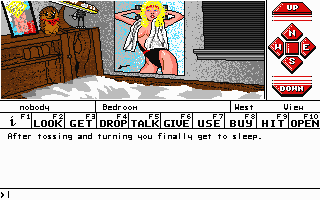 Gameplay of Dream Zone