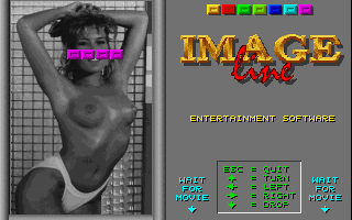 Gameplay of Porntris