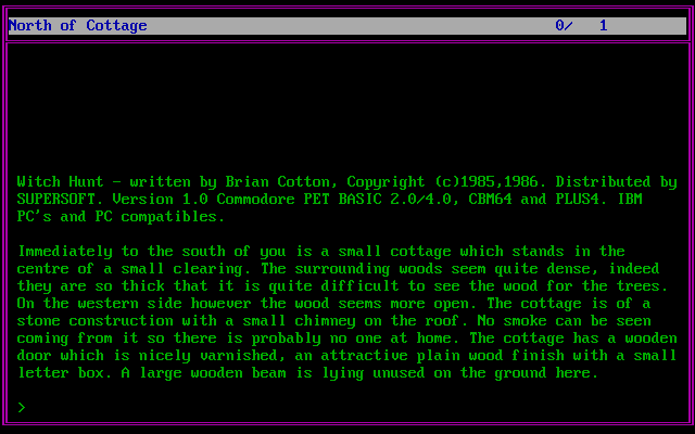 Title screen of Witch Hunt