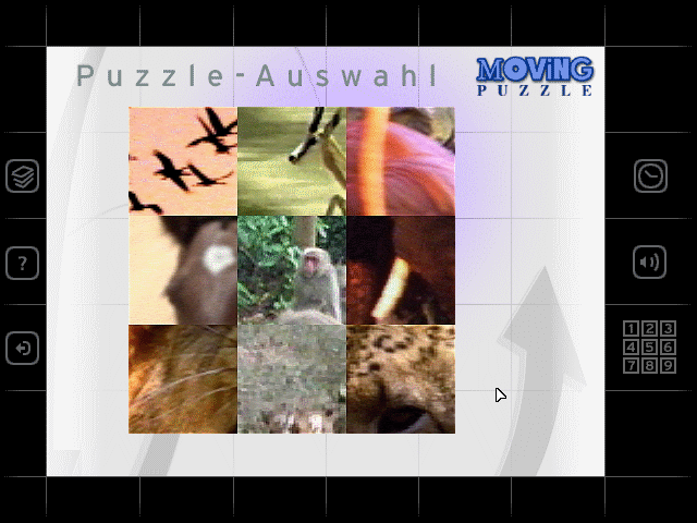 Gameplay of Moving Puzzle: Wild Life