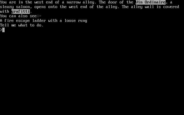 Gameplay of Thief's Adventure