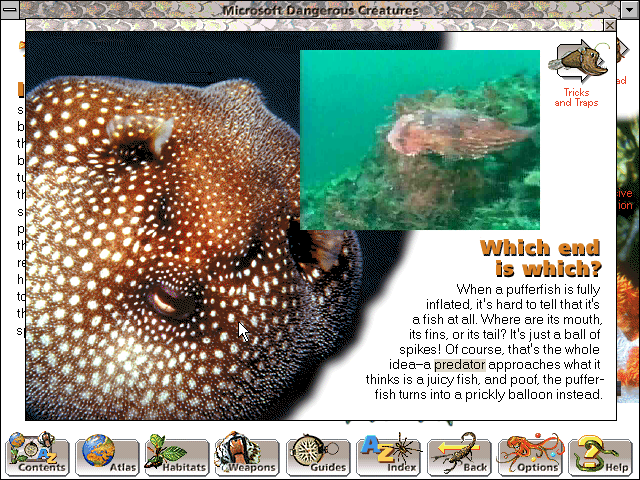 Gameplay of Microsoft Dangerous Creatures