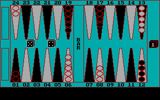 Gameplay of Championship Backgammon