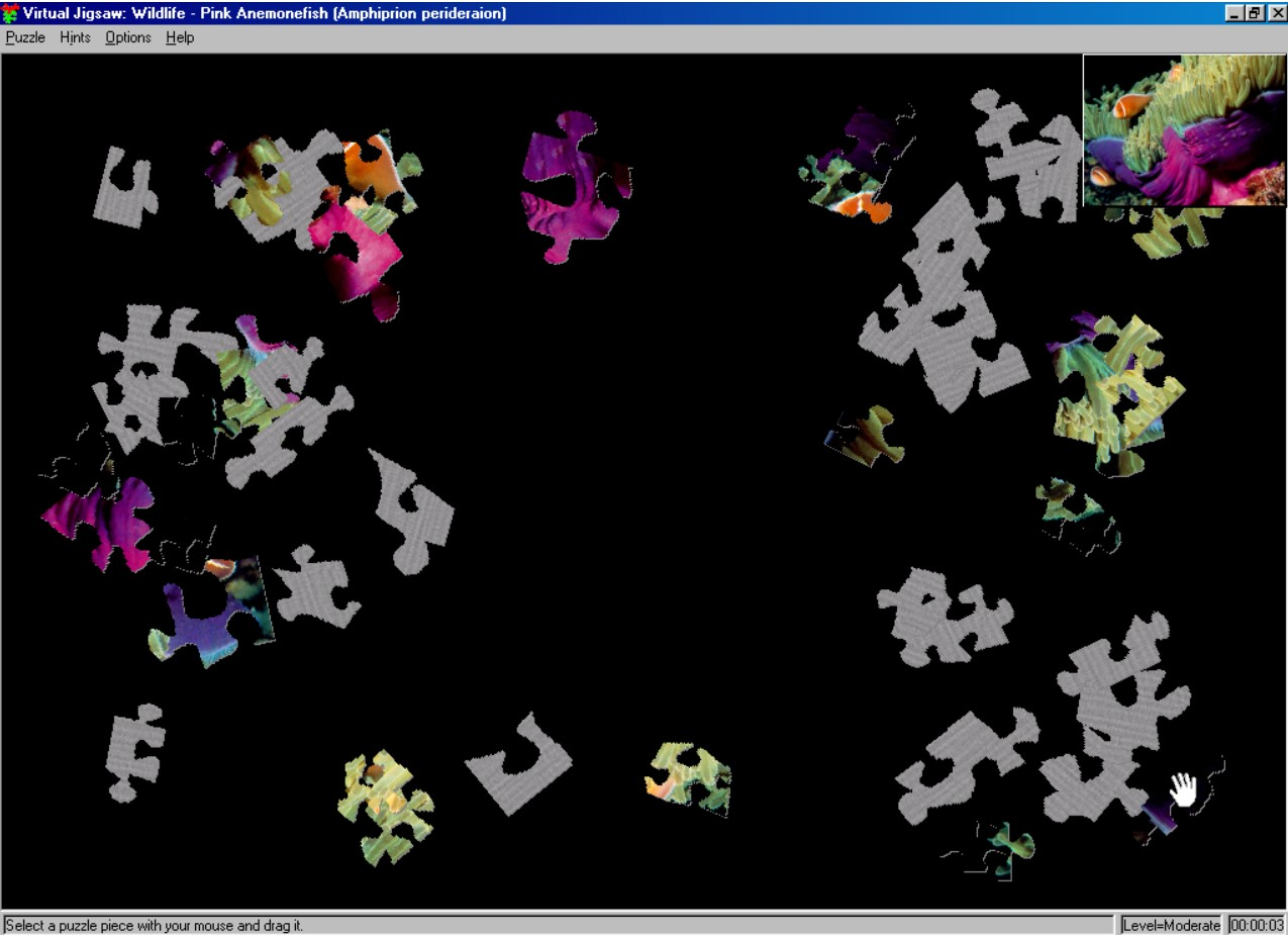 Gameplay of Virtual Jigsaw: Wildlife Edition