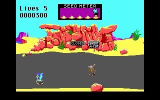 Gameplay of Road Runner