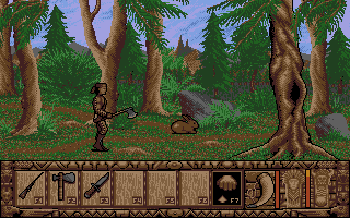 Gameplay of Colorado
