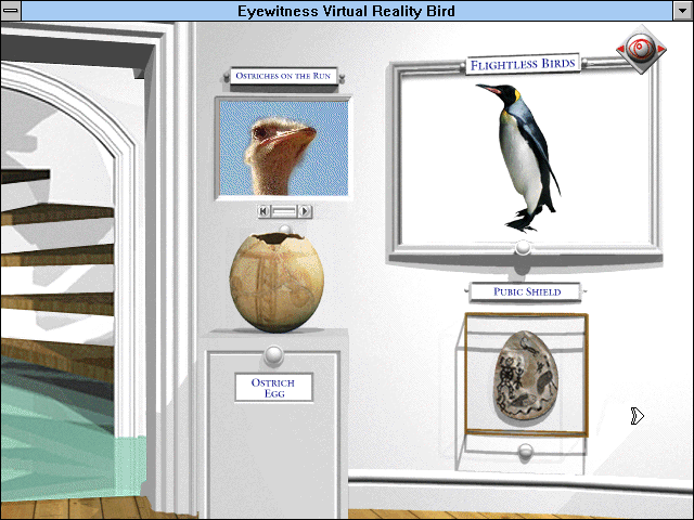 Gameplay of Eyewitness Virtual Reality: Bird