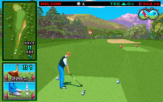 Gameplay of Wilson ProStaff Golf