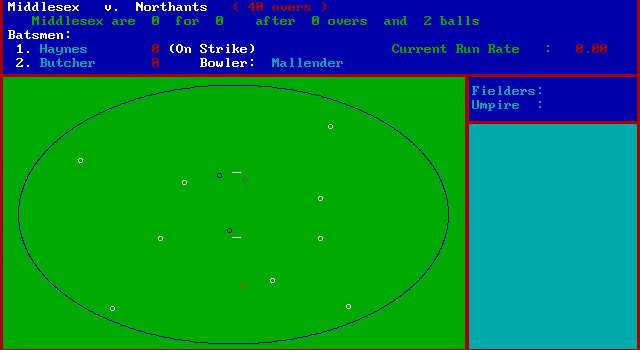 Gameplay of Sticky Wicket