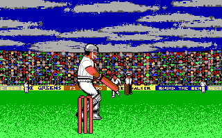 Gameplay of World Cricket