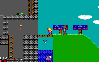 Gameplay of ElfLand