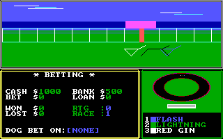 Gameplay of Grayhound Racer