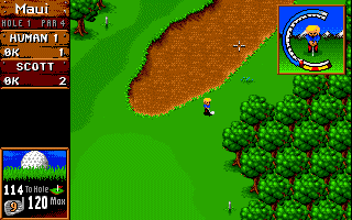 Gameplay of Sensible Golf
