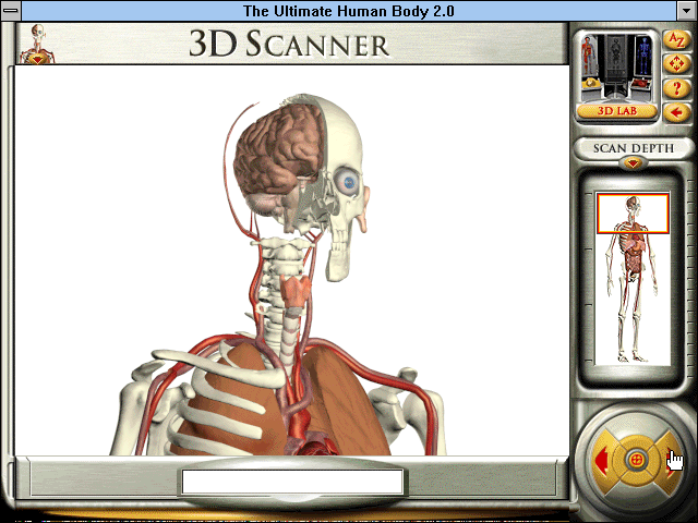 Gameplay of The Ultimate Human Body 2.0