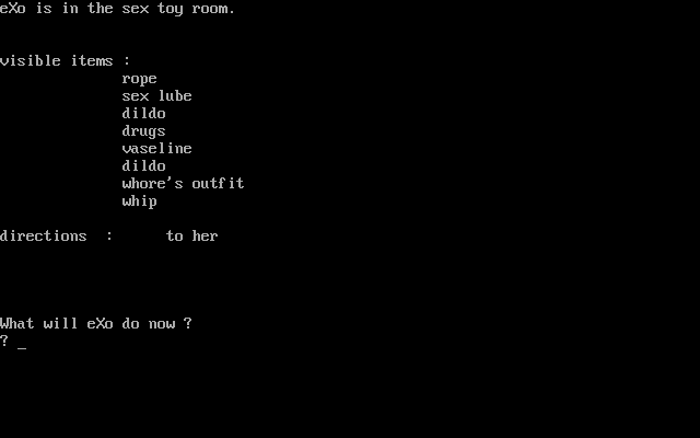 Gameplay of Porno Adventure