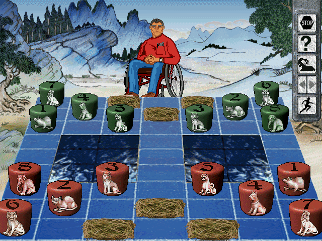 Gameplay of Strategy Challenges Collection 2: In the Wild